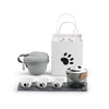 All-in-One Panda Travel Tea Set β Glass Teapot, 3 Cups & Travel Case