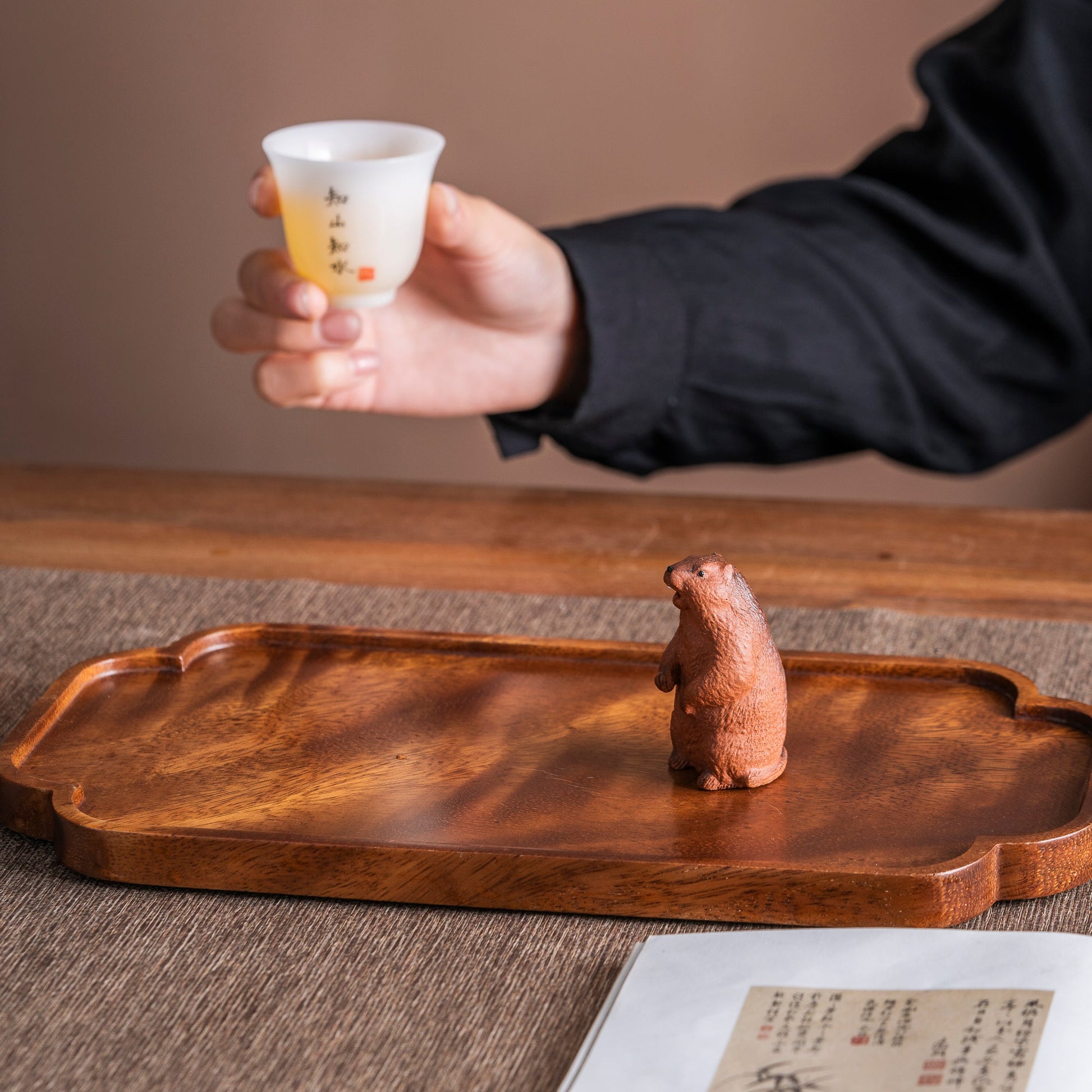 Groundhog Tea Pet (Earth Box)
