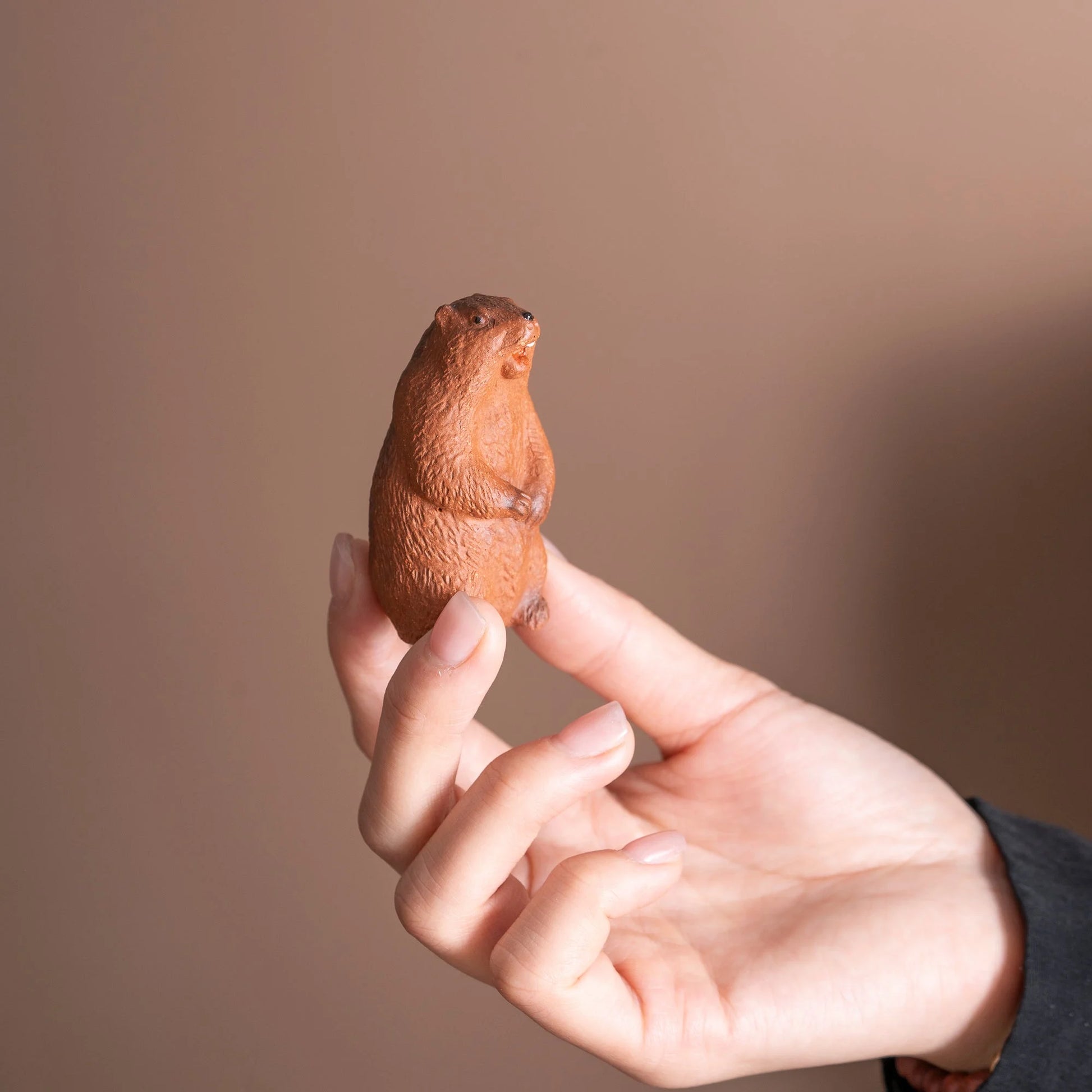 Groundhog Tea Pet (Earth Box) product gallery photo 6 for gongfu tea pet