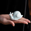 Snail Tea Pet